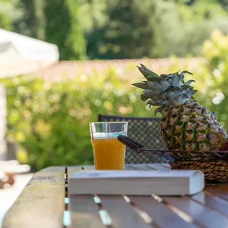 Kerithra ヴィラ ヴァシリキ